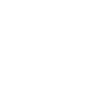 Viprex Wears logo